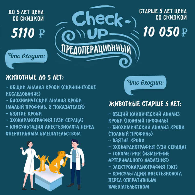 Предоперационное обследование животных (Чек Апп)