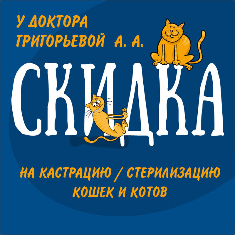 Скидка кастрацию и стерилизацию